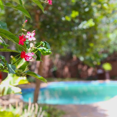 Mawuya Lodge วิกตอเรียฟอลส์ ภายนอก รูปภาพ